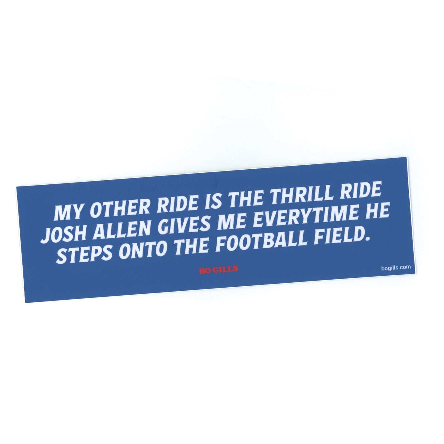 Thrill Ride Bumper Sticker